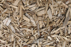 biomass boilers Cae Gors