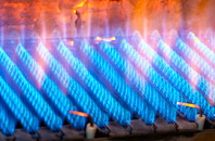 Cae Gors gas fired boilers